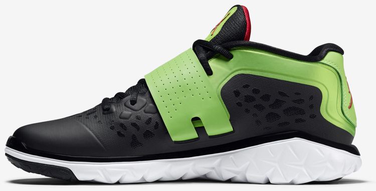 Air Jordan Flight Flex Trainer 2