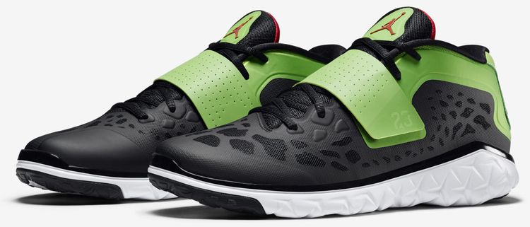 Air Jordan Flight Flex Trainer 2