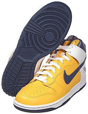 Nike Dunk High