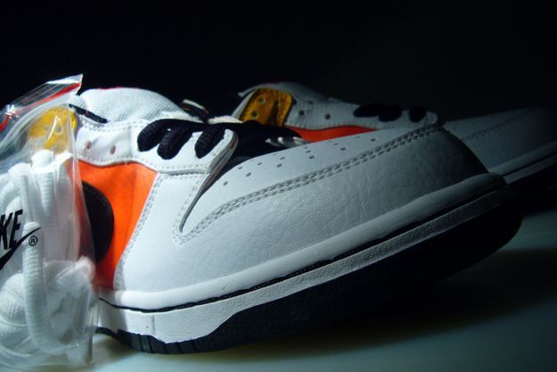 Nike Dunk Low Pro SB Raygun