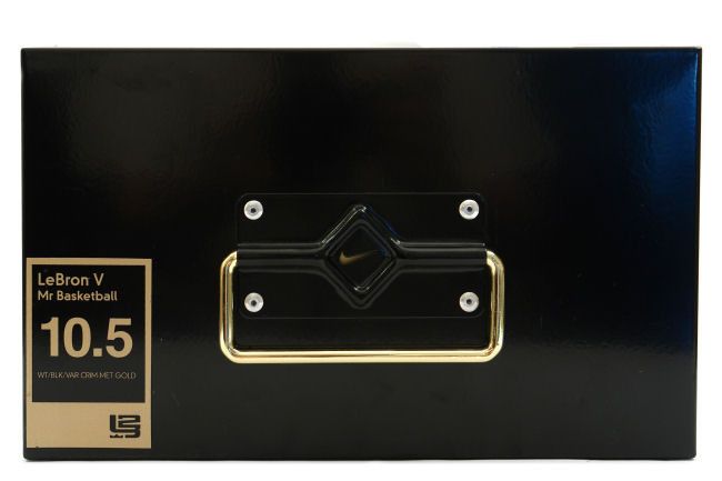 Lebron 5 mr basketball hot sale