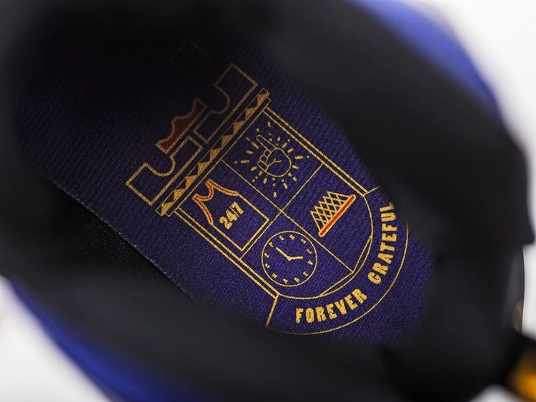 Nike LeBron 13 GS Doernbecher