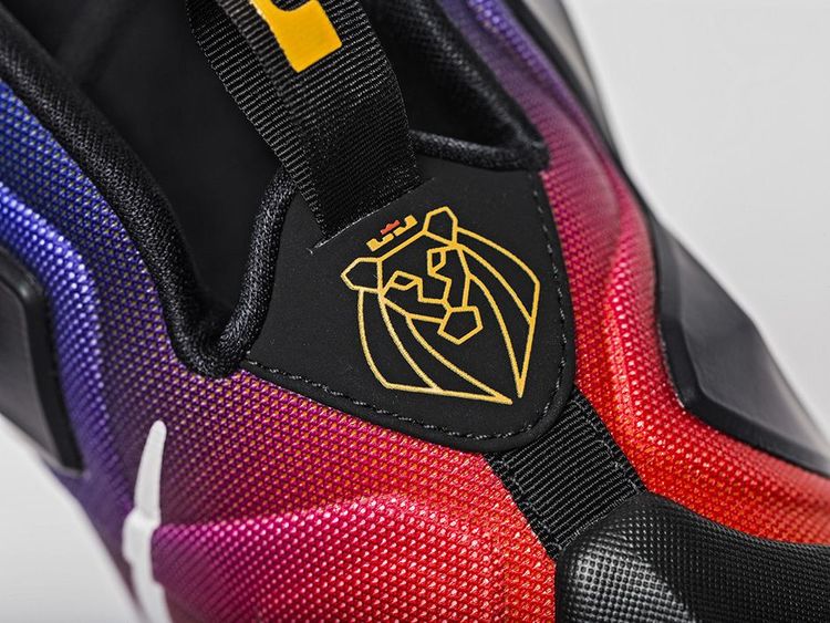 Nike LeBron 13 GS Doernbecher
