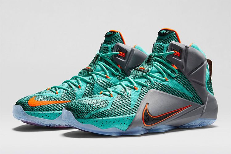 Size 9.0 LeBron 12 NSRL