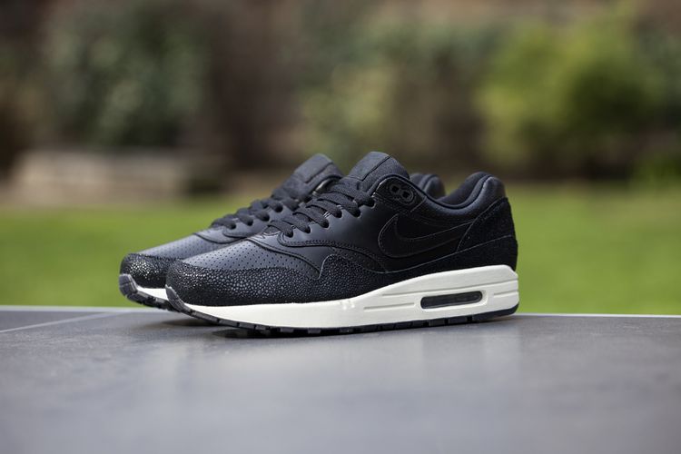 Nike Air Max 1 Leather Pa Caviar