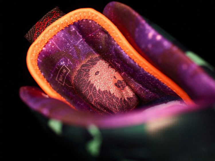 Nike LeBron 10 Premium What The MVP