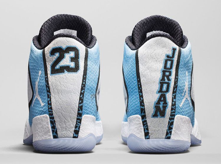 Jordan 29 blue sale