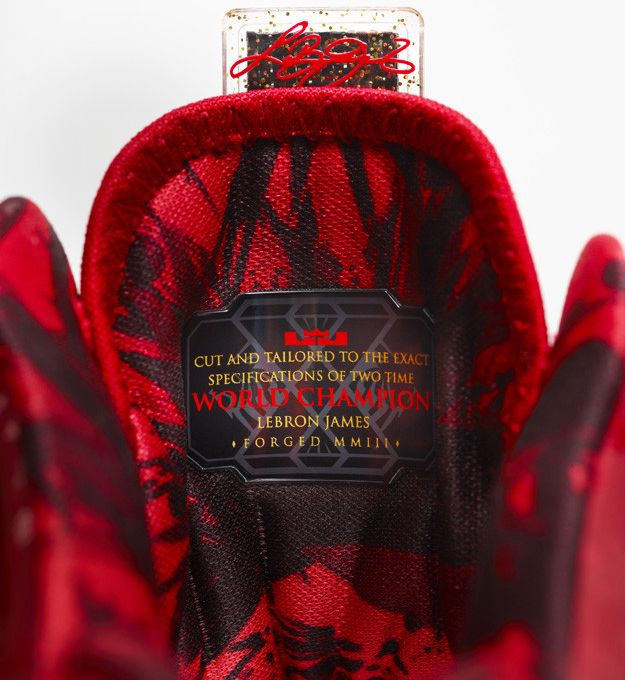 Nike LeBron Celebration Pack