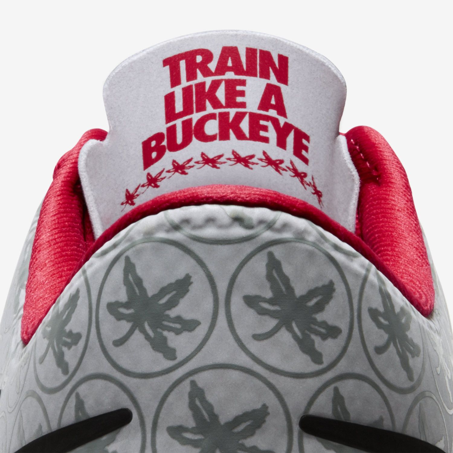 Free trainer 5.0 v6 ohio state cheap