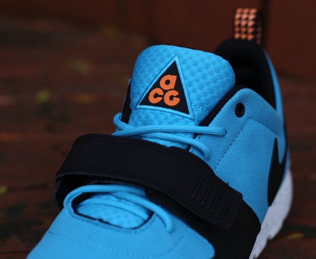 Nike SB Trainerendor ACG