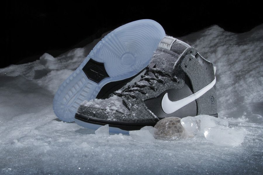 Size 5.5 Dunk Hi SB Premier SE Petoskey