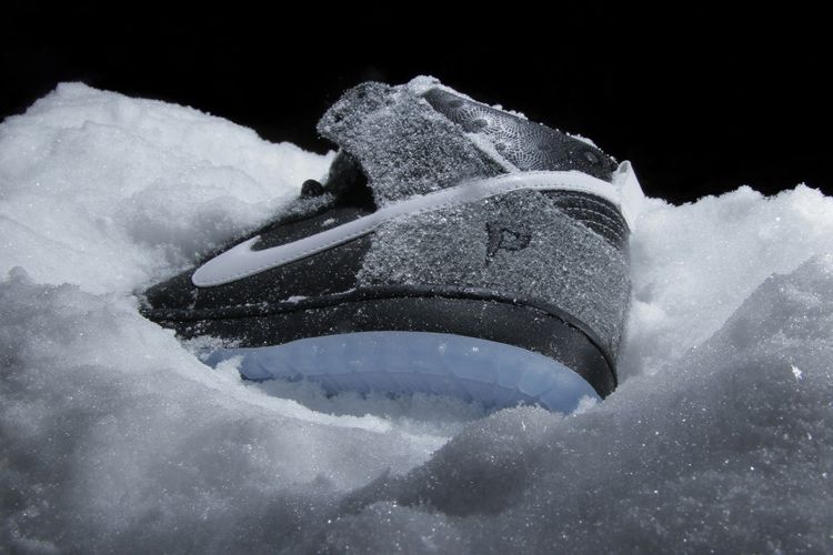 Nike Dunk Hi SB Premier SE Petoskey