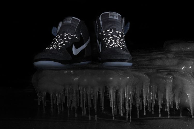 Nike Dunk Hi SB Premier SE Petoskey