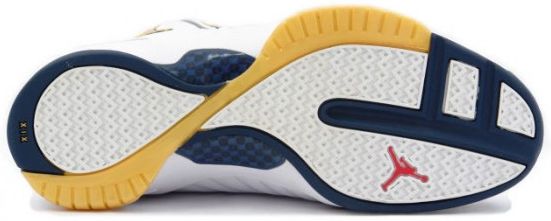 Air Jordan 19 OG SE Olympic