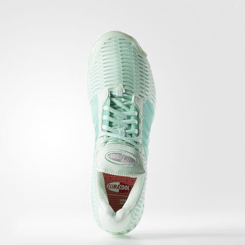 Adidas ClimaCool 1 Frog Green