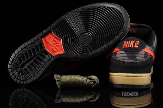 Nike SB Dunk Low Premium Brian Anderson