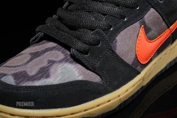 Nike SB Dunk Low Premium Brian Anderson