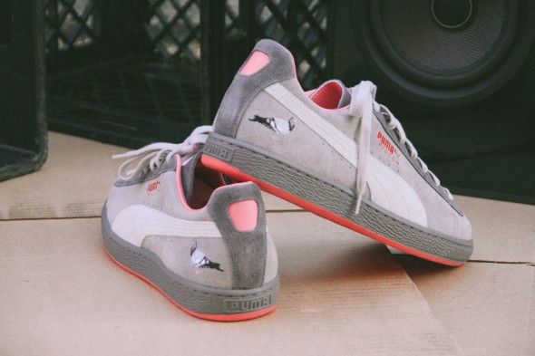 Puma staple pigeon for sale cheap