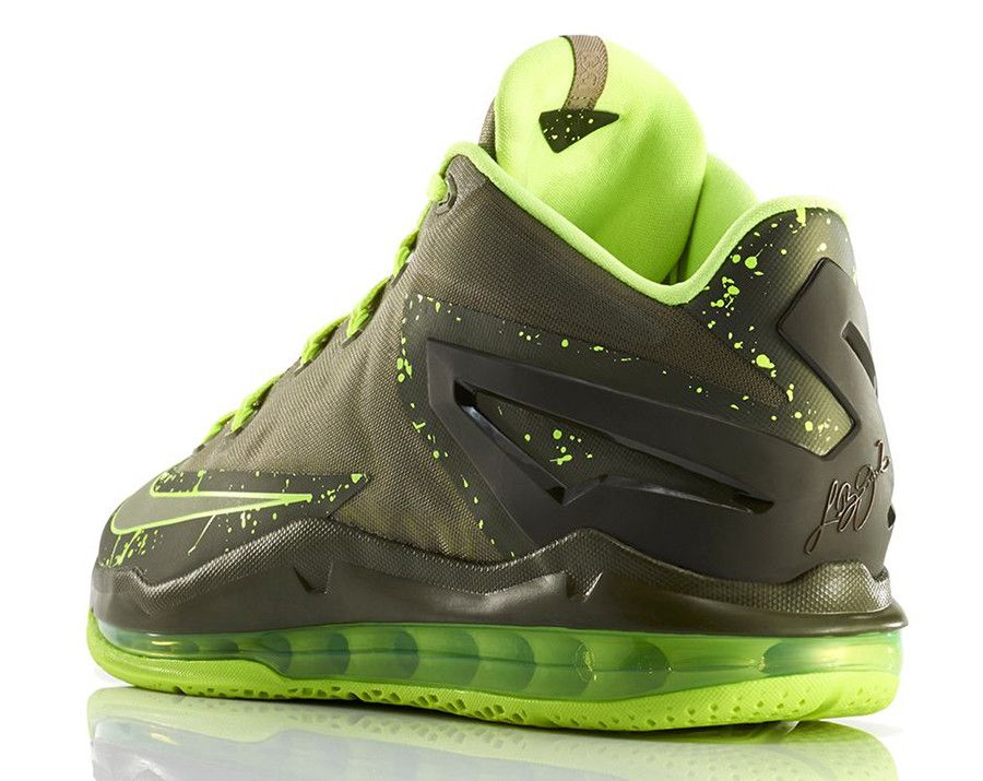 Size 10.0 Max LeBron 11 Low Dunkman