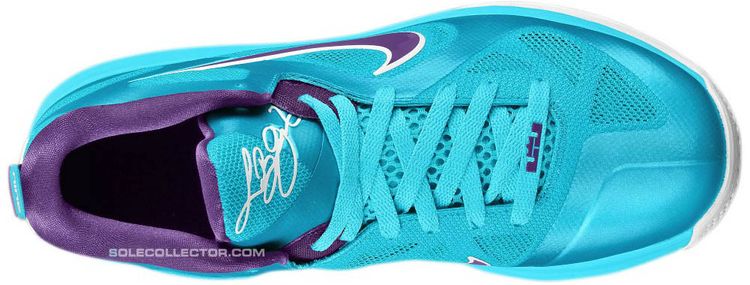Nike LeBron 9 Low Summit Lake Hornets