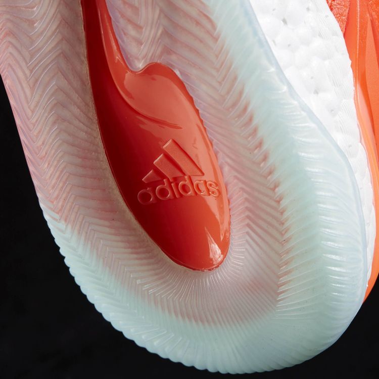 D Rose 7 PK