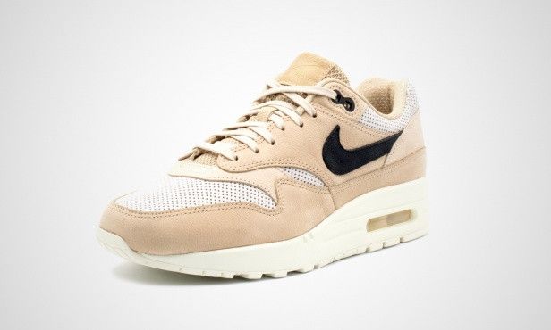 air max 1 pinnacle mushroom