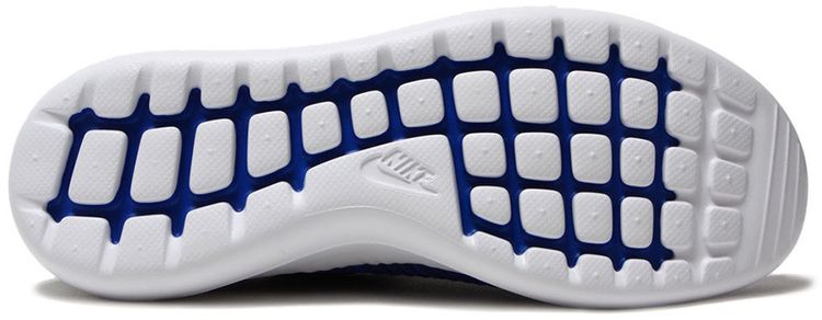 Nike Roshe Two Flyknit V2