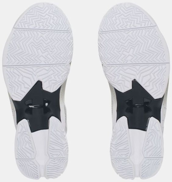 Under Armour Curry 2 GS The Storm