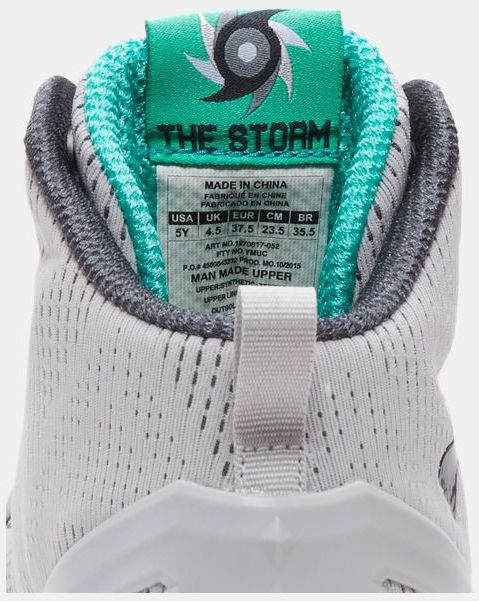 Under Armour Curry 2 GS The Storm