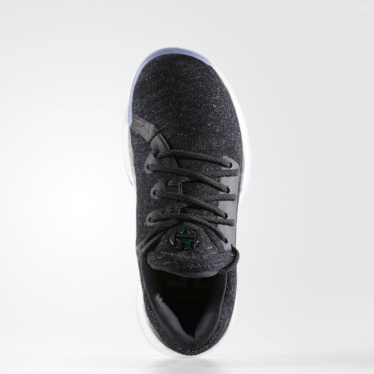 Adidas Harden Vol 1 LS Primeknit J Night Life