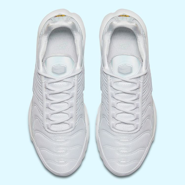 Nike Wmns Air Max Plus SE Ice Blue