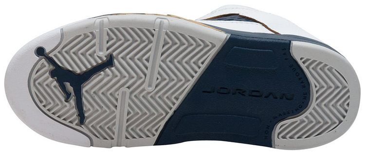 Air Jordan 5 Retro Low TD Dunk From Above