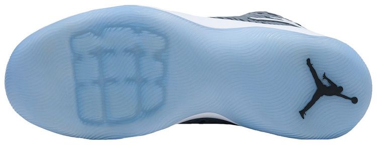 Air Jordan Ultra Fly Cool Grey