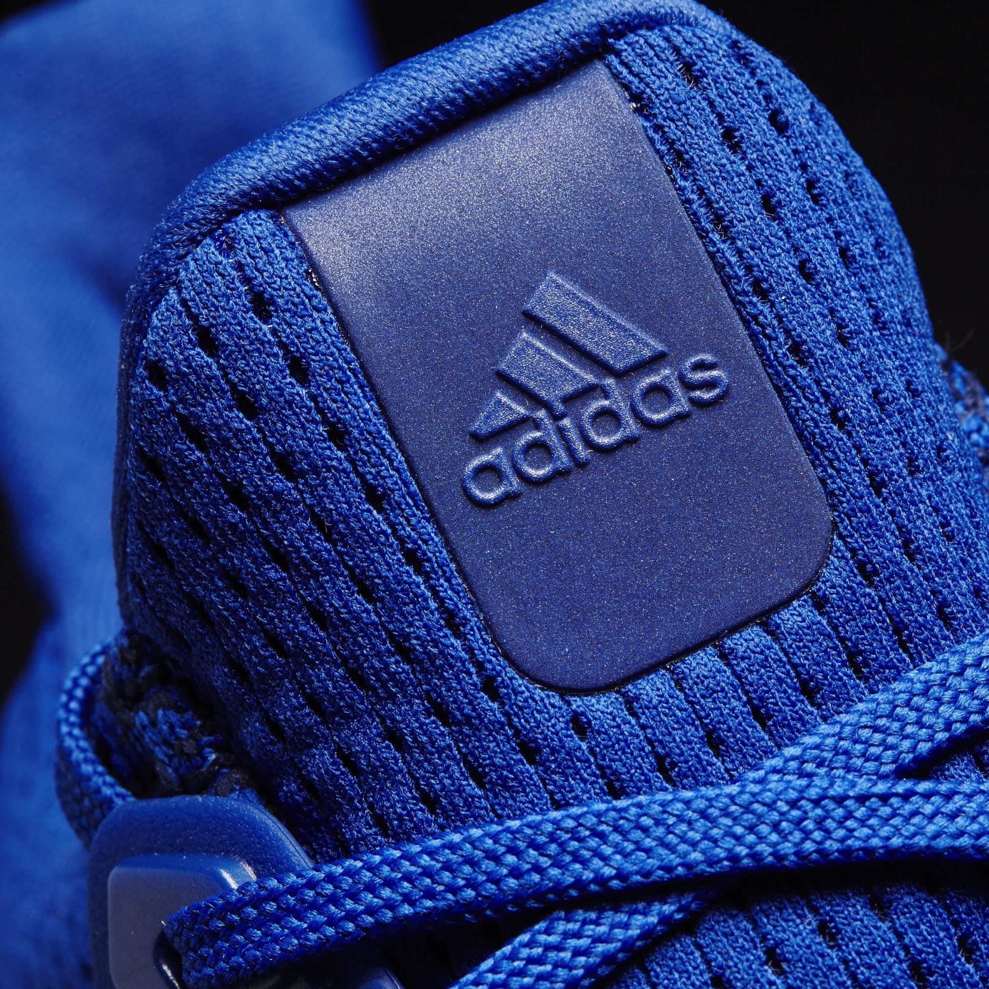 Size 11.5 UltraBoost 1.0 Royal Blue