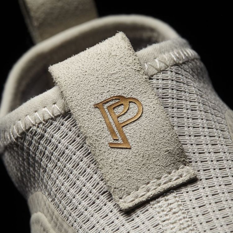 Paul Pogba x adidas Ace 17