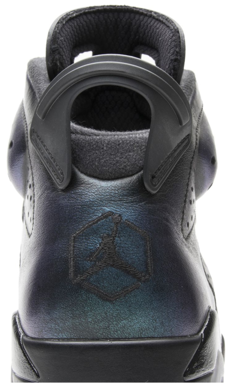 Air Jordan 6 Retro All Star Chameleon