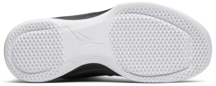 Air Jordan 31 Black Cat