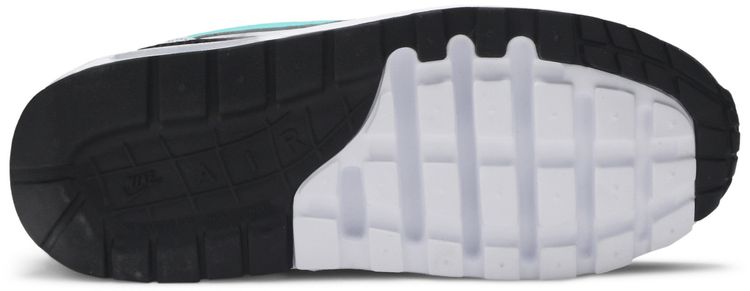 Nike Air Max 1 GS Dusty Cactus