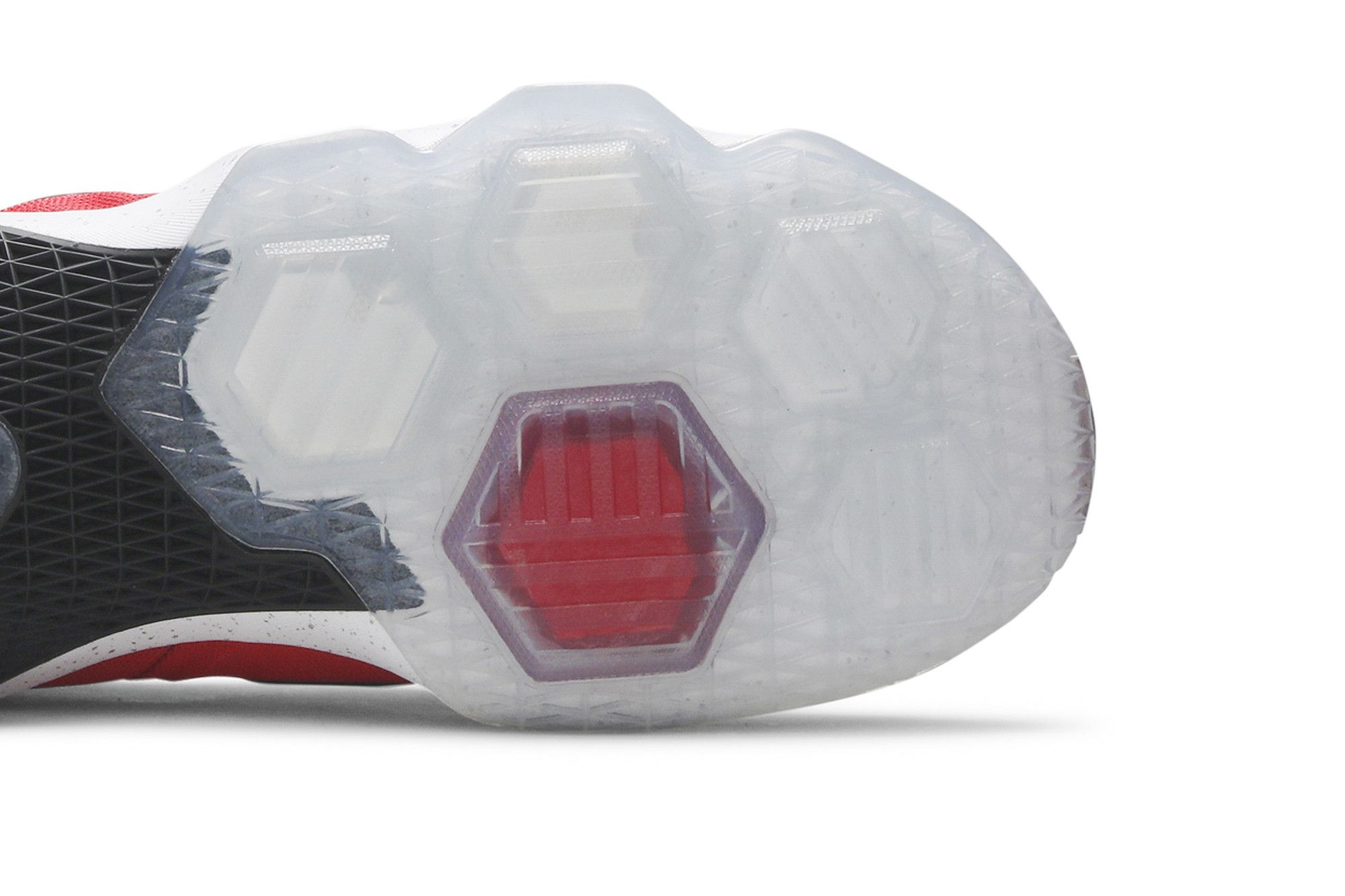Size 11.0 LeBron 13 On Court
