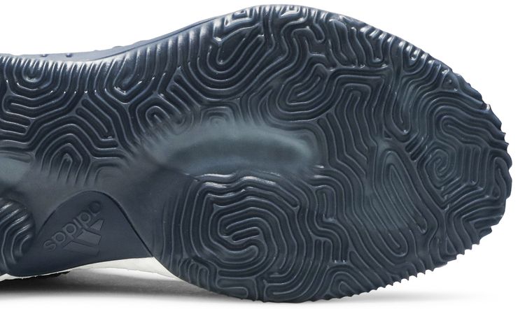 Adidas Crazy Explosive 2017 Collegiate Navy