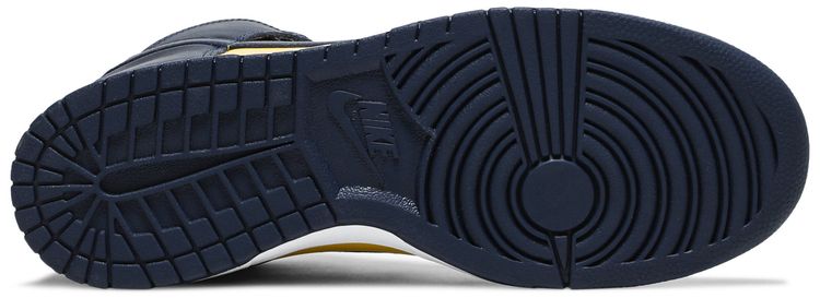 Dunk High SP Michigan 2020