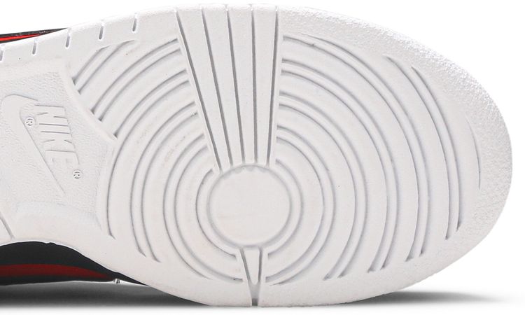 Nike Dunk Low Pro SB Raygun