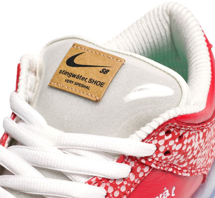Stingwater x Dunk Low SB Magic Mushroom