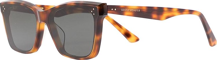 Gentle Monster Solbei L2 Sunglasses 'Brown'