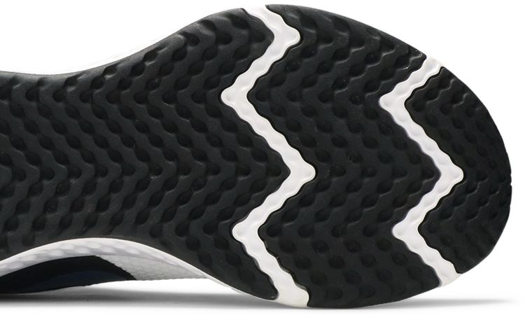 Nike Wmns Revolution 5 White Valerian Blue