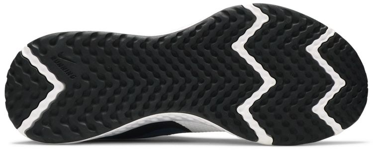 Nike Wmns Revolution 5 White Valerian Blue