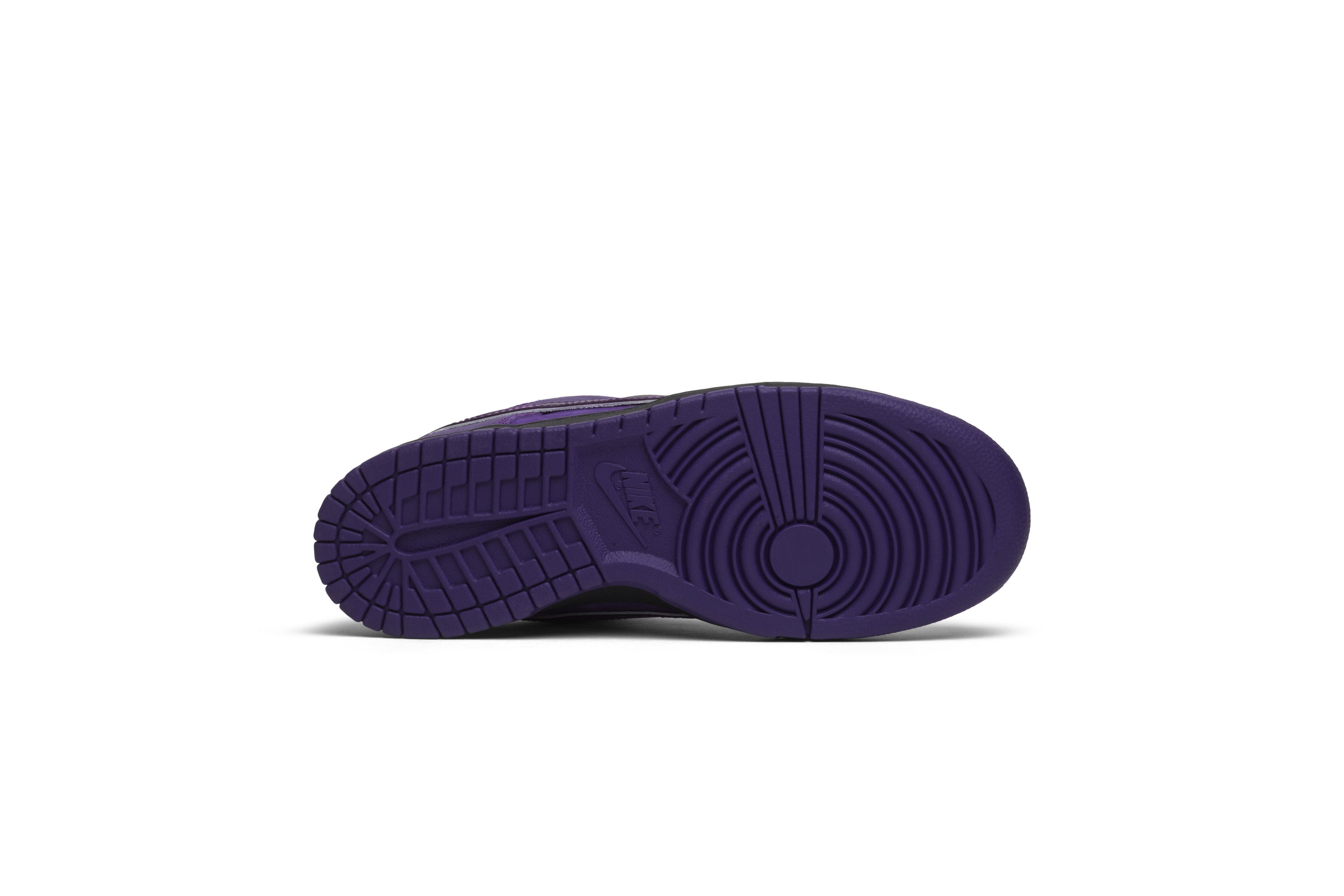 concepts purple lobster sb
