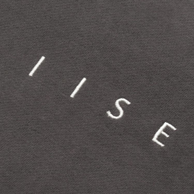 Iise Logo Panel Hoodie Stone