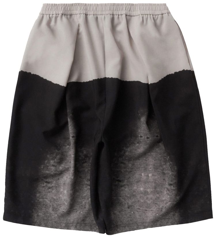 Iise Paint Short Print