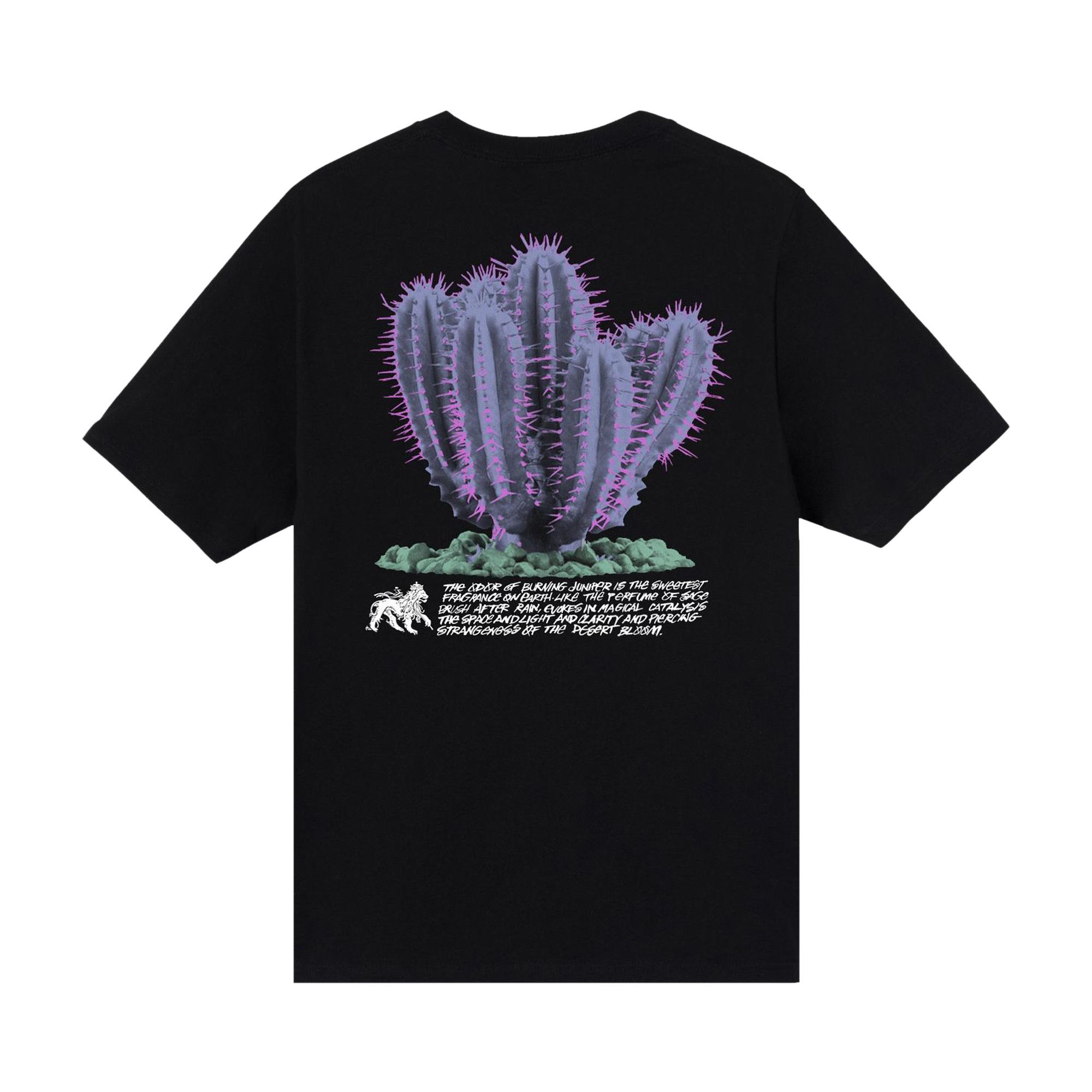 Buy Stussy Desert Bloom Tee 'Black' - 1904686 BLAC | GOAT